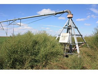 Property photo 67 - LAND AUCTION, 3255+/- Acres offered in 13 Tracts
